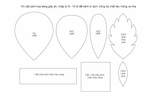 Ngất ngây hoa hồng ngoại nở to bằng khăn giấy - 2