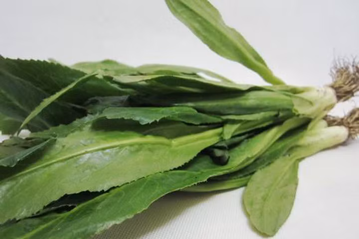 Trị 5 bệnh hiệu quả đơn giản bằng rau mùi tàu