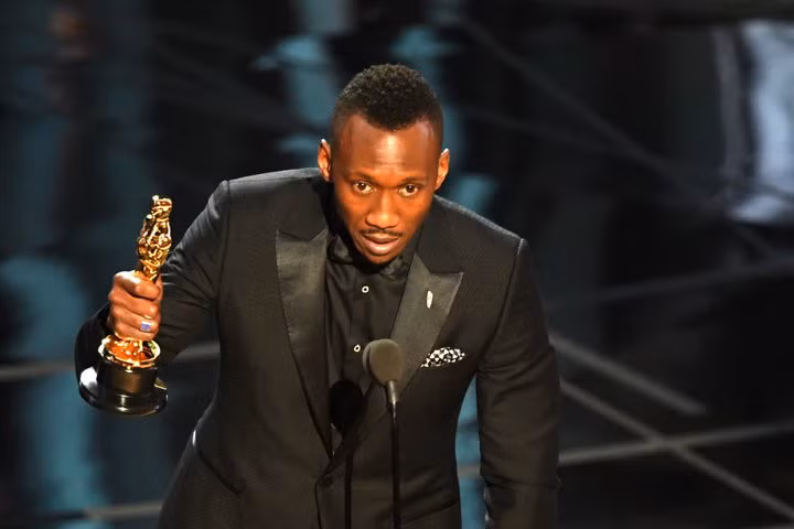 Sao phim Moonlight là diễn viên Hồi giáo đầu tiên đoạt Oscar