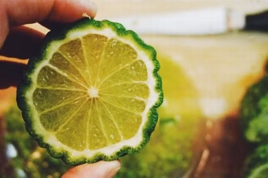 Chanh hình não người Chanh hình não người