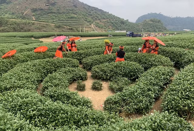 Du khách miền Nam rất thích đi du lịch ở các tỉnh vùng Tây Bắc, Đông Bắc trong các dịp lễ, tết.