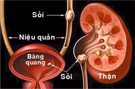 Tu y dung thuoc nam chua soi than: Coi chung tu vong - Anh 2