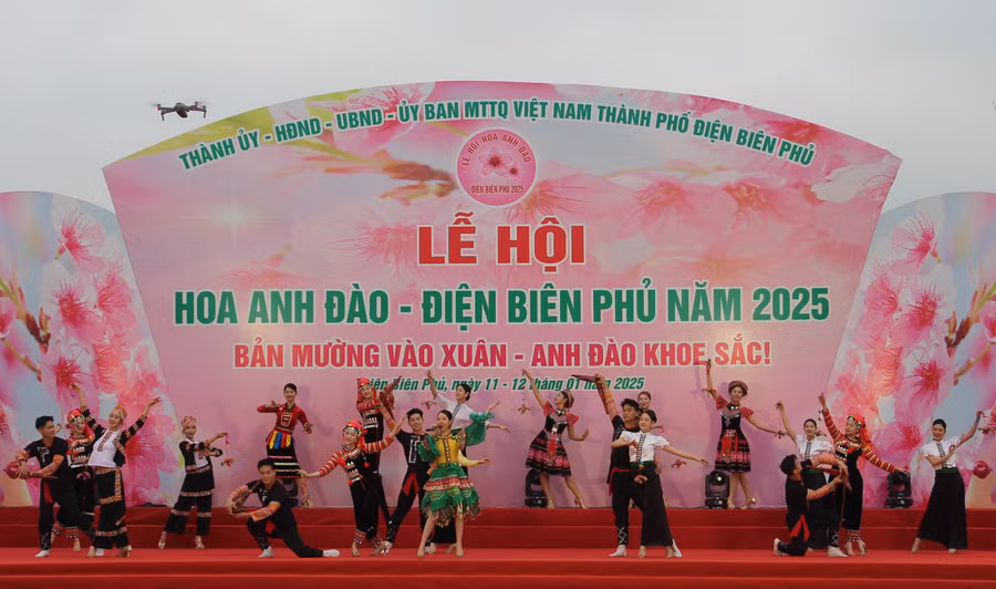 le-hoi-hoa-anh-dao-3-5700.jpg