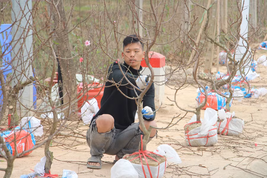 tet-1-12.jpg