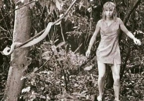 rơi máy bay, Juliane Koepcke, bé gái sống sót sau vụ rơi máy bay