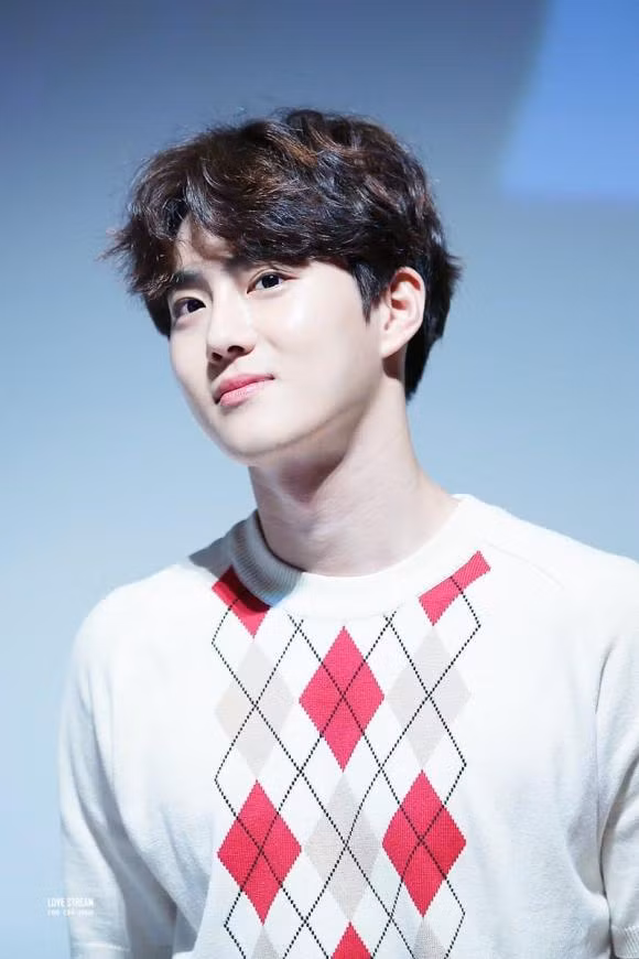 Bố của Suho (EXO) là một giáo sư, và mẹ anh đã từng là giáo viên toán. Suho lớn lên ở Apgujeong, một trong những khu phố giàu có nhất tại Hàn Quốc.