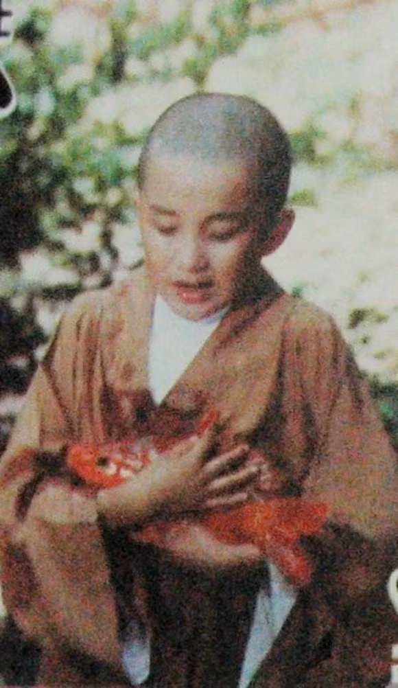 Thái Viễn Hàng, Tôn Thiến, sao Hoa ngữ 