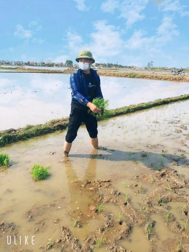 đi cấy 0