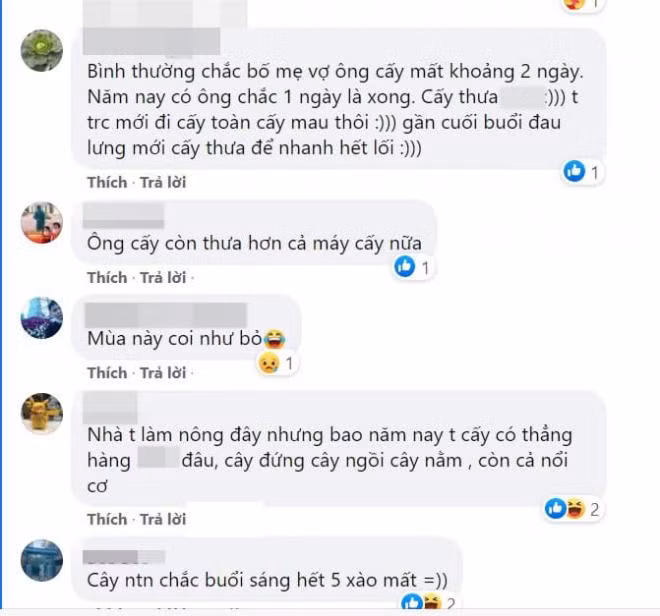 đi cấy 0
