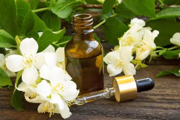 Hoa bưởi tháng 3: Những lợi ích cho sức khỏe từ hoa bưởi có thể bạn chưa biết - Ảnh 3.