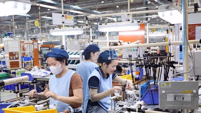Nhờ các sàn giao dịch thông tin việc làm, nhiều người định hướng được nghề nghiệp (Ảnh minh họa: ITN).