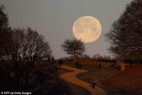 full-moon-4.jpg