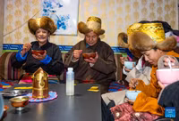 lhasa-chao-don-nam-moi-tay-tang-7.jpg