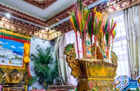 lhasa-chao-don-nam-moi-tay-tang-8.jpg