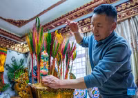 lhasa-chao-don-nam-moi-tay-tang-9.jpg