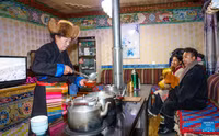 lhasa-chao-don-nam-moi-tay-tang-1.jpg