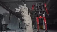 robot-bien-hinh-khong-lo-gay-sot-toan-cau-4.png