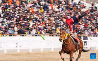 soi-dong-le-hoi-cuoi-ngua-mung-losar-tai-lhasa-5.jpg