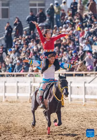 soi-dong-le-hoi-cuoi-ngua-mung-losar-tai-lhasa-7.jpg