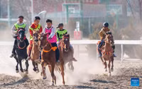 soi-dong-le-hoi-cuoi-ngua-mung-losar-tai-lhasa-3.jpg