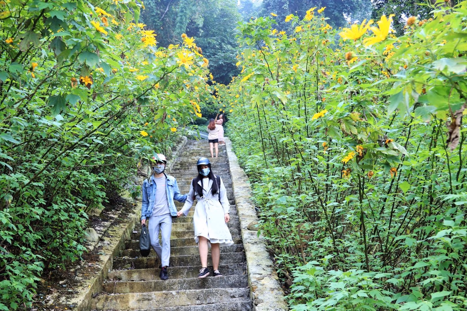 Đặc biệt trong những ngày mây mù bao trùm đỉnh Ba Vì, du khách có thể vừa dạo bộ giữa những cung đường hoa dã quỳ vàng rực, vừa chụp ảnh check-in lưu giữ những khoảnh khắc kỷ niệm của thiên nhiên kỳ vĩ nơi đây. Để chuyến đi trải nghiệm khám phá được vui vẻ, bảo đảm sức khỏe, mọi người nên mặc trang phục thoải mái gọn gàng, đi giày leo núi, khẩu trang, kính mắt và áo khoác mỏng.