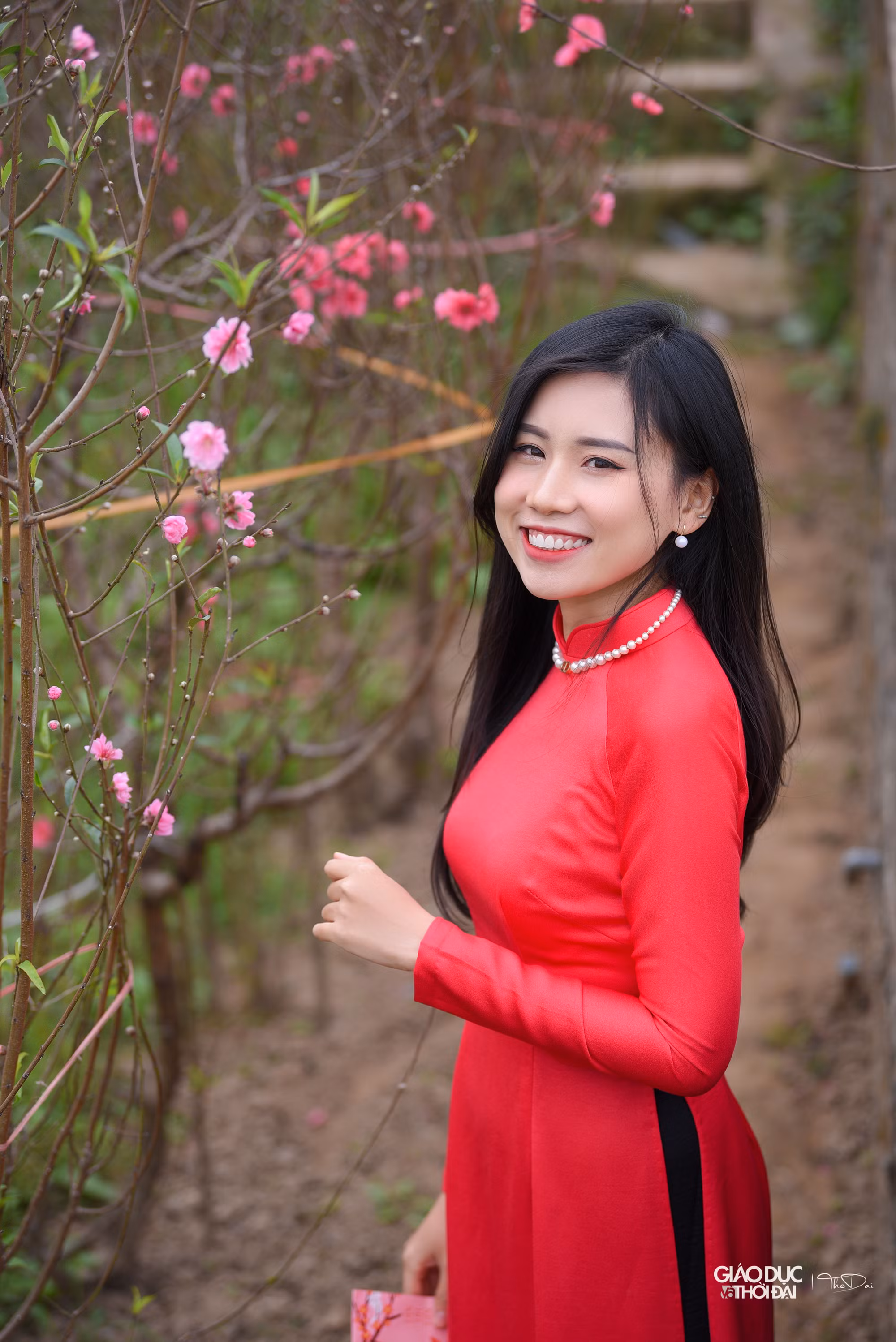 Đào Nhật Tân nở rộ khoe sắc cùng thiếu nữ xinh tươi tạo nên bức tranh ngày Tết thật đẹp.