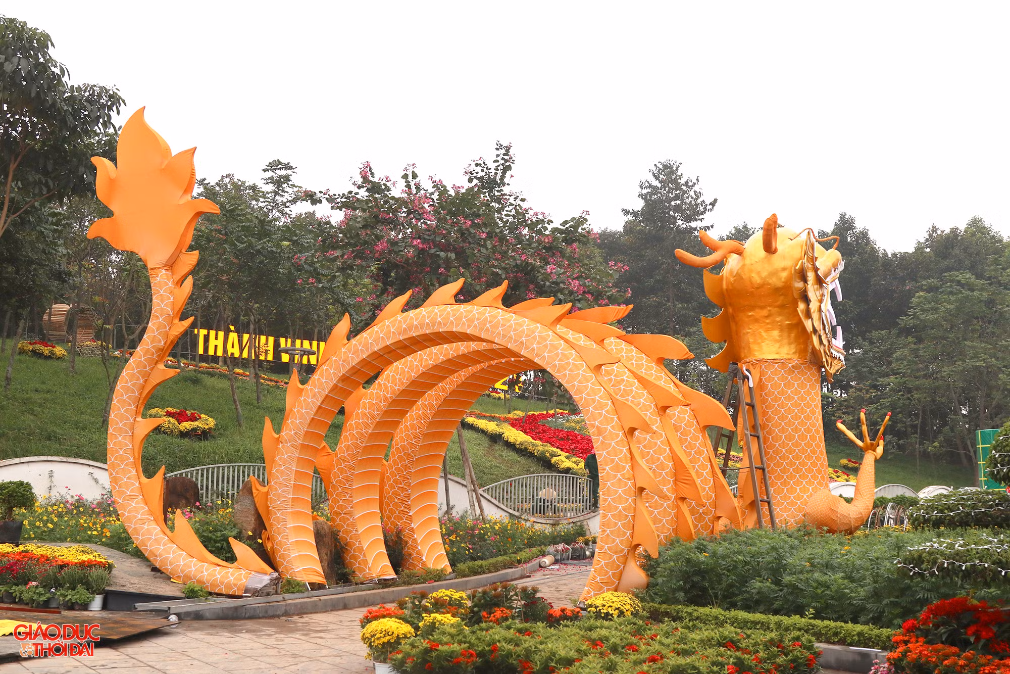 “Cách tạo hình linh vật rồng năm nay ở phố đi bộ TP Vinh rất đẹp, có thần thái. Tụi nhỏ gia đình tôi rất thích”, anh Phạm Quang Huy (trú tại phường Quang Trung, TP Vinh) chia sẻ. (Ảnh: Phạm Tâm)