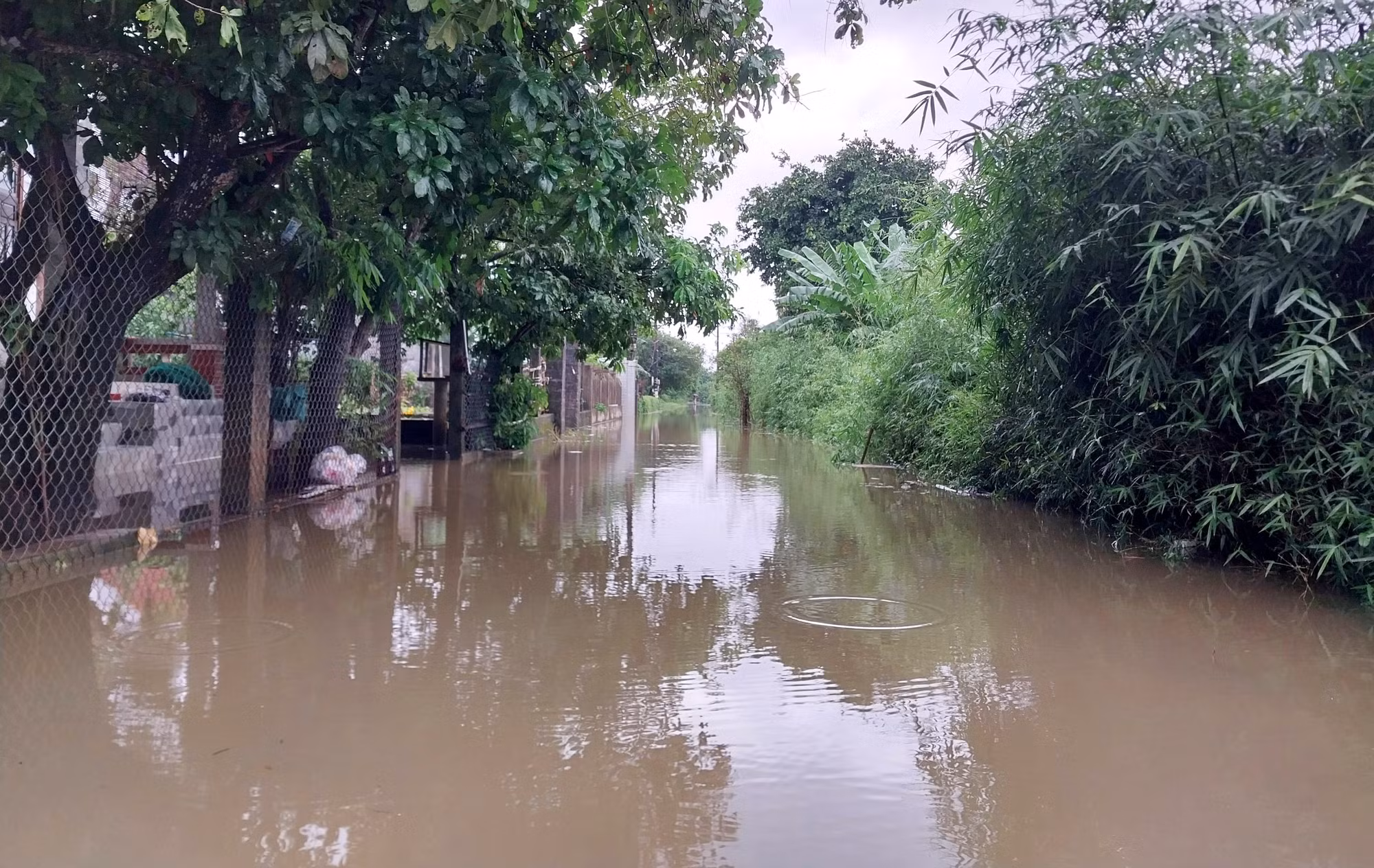 Văn phòng Ban Chỉ huy Phòng chống thiên tai và Tìm kiếm cứu nạn tỉnh Thừa Thiên - Huế cho hay, mưa lớn trong tối 10 và sáng 11/10 khiến nhiều vùng thấp trũng bị ngập lụt. Văn phòng Ban Chỉ huy Phòng chống thiên tai và Tìm kiếm cứu nạn tỉnh Thừa Thiên - Huế cho hay, mưa lớn trong tối 10 và sáng 11/10 khiến nhiều vùng thấp trũng bị ngập lụt.