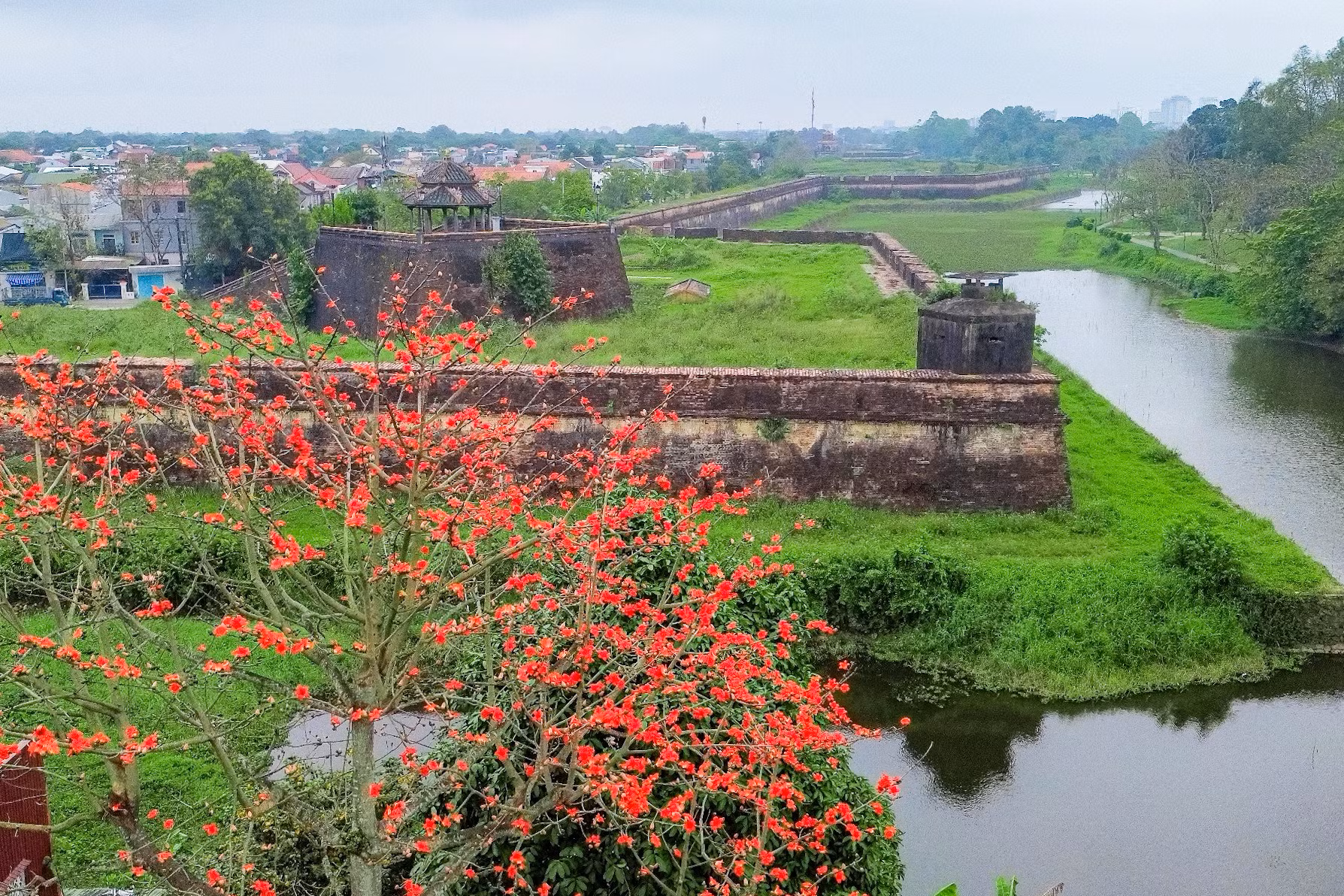 Ở một góc khác, hoa gạo khoe sắc bên Kinh thành Huế cổ kính tạo nên cảnh sắc nên thơ, đẹp đến nao lòng.
