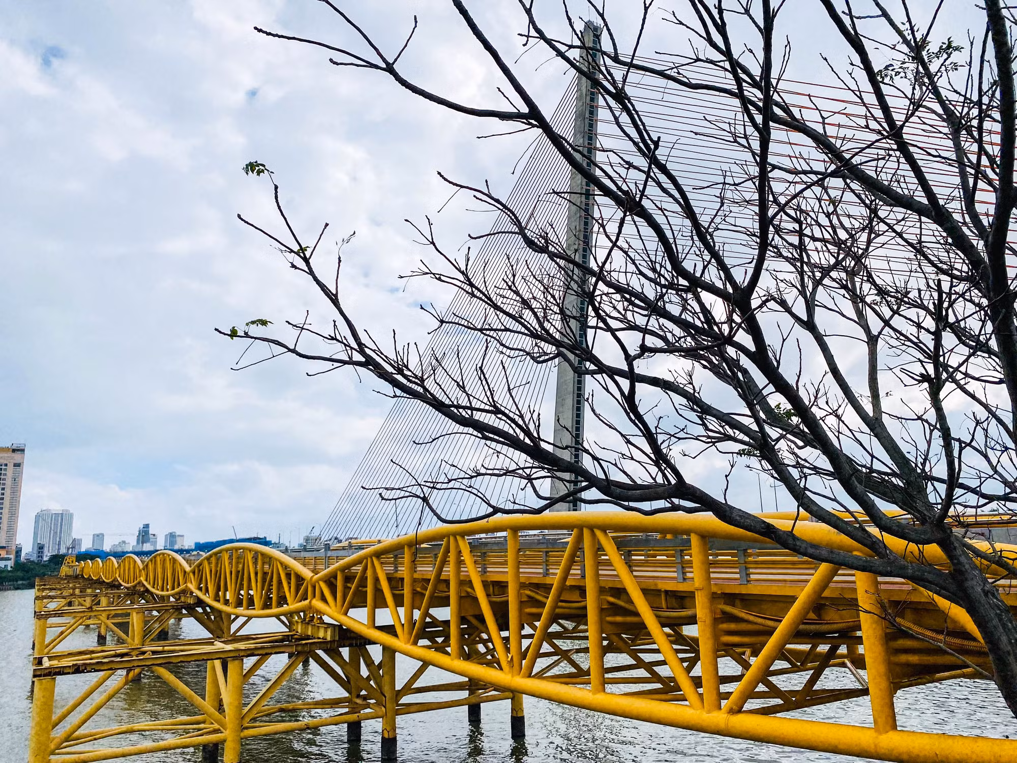Cụ thể, giai đoạn 1 (năm 2024), cầu Nguyễn Văn Trỗi và khu vực công viên tổ chức một số hoạt động như: Trang trí điện chiếu sáng tạo điểm check-in; Triển lãm tranh ảnh và trưng bày sản phẩm, tác phẩm chuyên ngành định kỳ... Cụ thể, giai đoạn 1 (năm 2024), cầu Nguyễn Văn Trỗi và khu vực công viên tổ chức một số hoạt động như: Trang trí điện chiếu sáng tạo điểm check-in; Triển lãm tranh ảnh và trưng bày sản phẩm, tác phẩm chuyên ngành định kỳ...