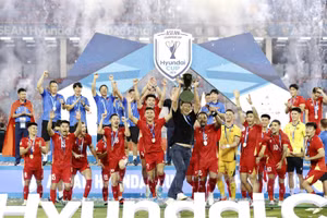 Tuyển Việt Nam bảo vệ thành công ngôi vô địch ASEAN Cup.