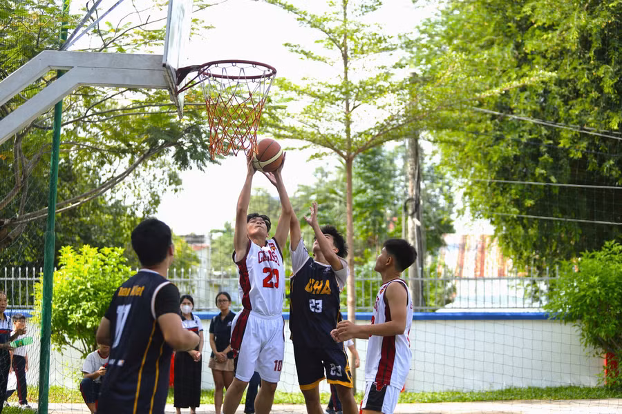 1-nh-cac-bo-mon-thi-dau-gom-bong-da-bong-ro-cau-long-boi-loi-va-co-vua-781-8390.jpg