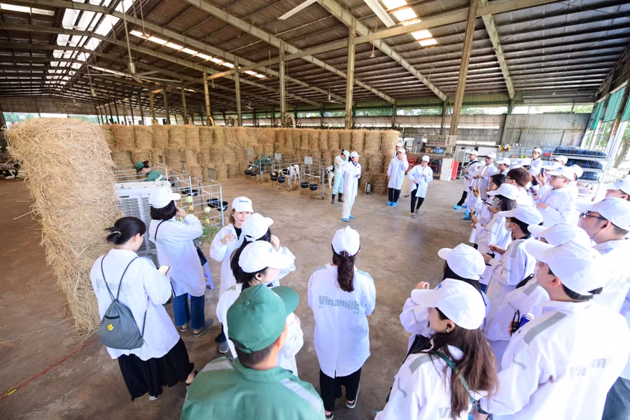 8-vnm-farm-tour-vbcsd-088.jpg