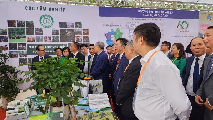 dh-lam-nghiep1.jpg