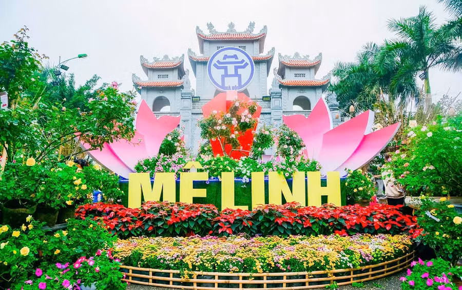 Nhiều ca sĩ nổi tiếng sẽ xuất hiện tại ngày khai mạc Lễ hội hoa Mê Linh lần thứ 2.