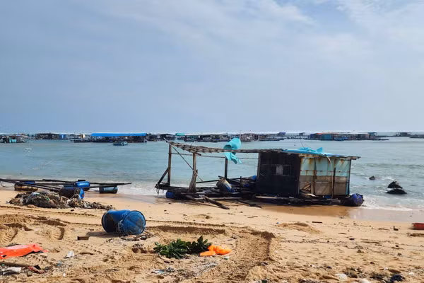 Lồng nuôi hải sản của người dân Phú Quý bị sóng phá hủy.