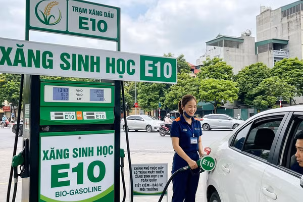 Hệ thống bán lẻ xăng dầu đang được điều chỉnh, nâng cấp để phù hợp với việc phân phối xăng sinh học E10.