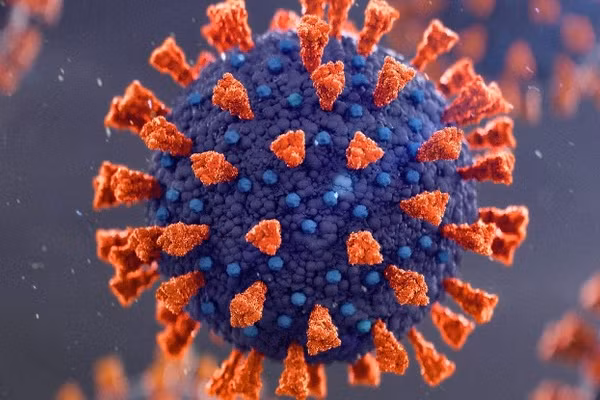 Nhiễm trùng kéo dài cho phép virus khám phá các cách lây nhiễm tế bào hiệu quả hơn. Ảnh minh hoạ. 