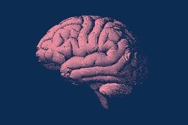 Những người tuân thủ chặt chẽ chế độ ăn MIND có xu hướng mất ít mô não hơn theo thời gian.