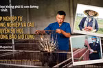 Kỳ 4: Lập nghiệp từ nông nghiệp và câu chuyện sự học không bao giờ cùng