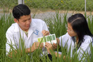Sinh viên Trường Đại học Cần Thơ. Ảnh: H.Lê
