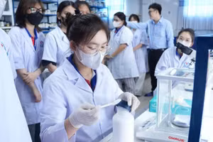 Một tiết học thực hành của sinh viên Trường Cao đẳng Quốc tế TPHCM. Ảnh: NTCC