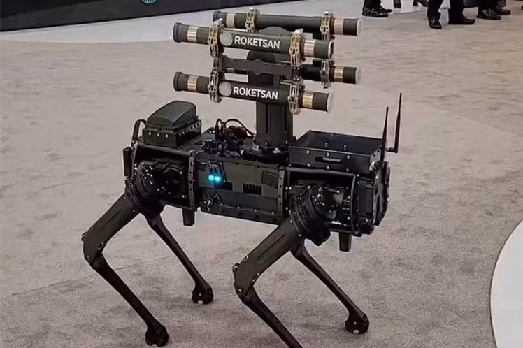 robot-cho-mang-ten-lua-hua-hen-thay-doi-chien-truong2.jpg