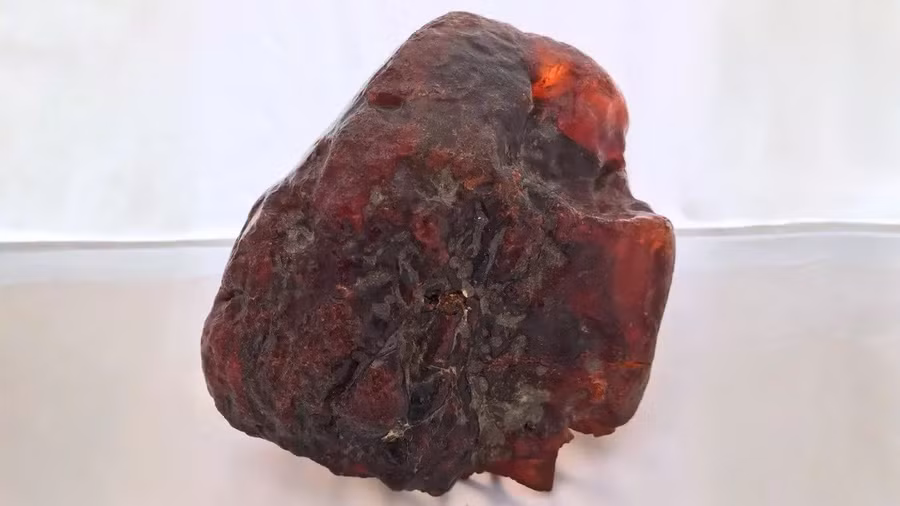 Một khối hổ phách hóa thạch vô cùng quý giá, trông giống như một tảng đá. Đây là khối rumanite lớn nhất từng được tìm thấy.