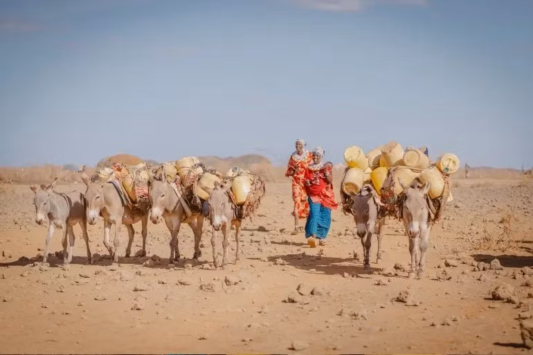 kenya-tao-hon-1.jpg