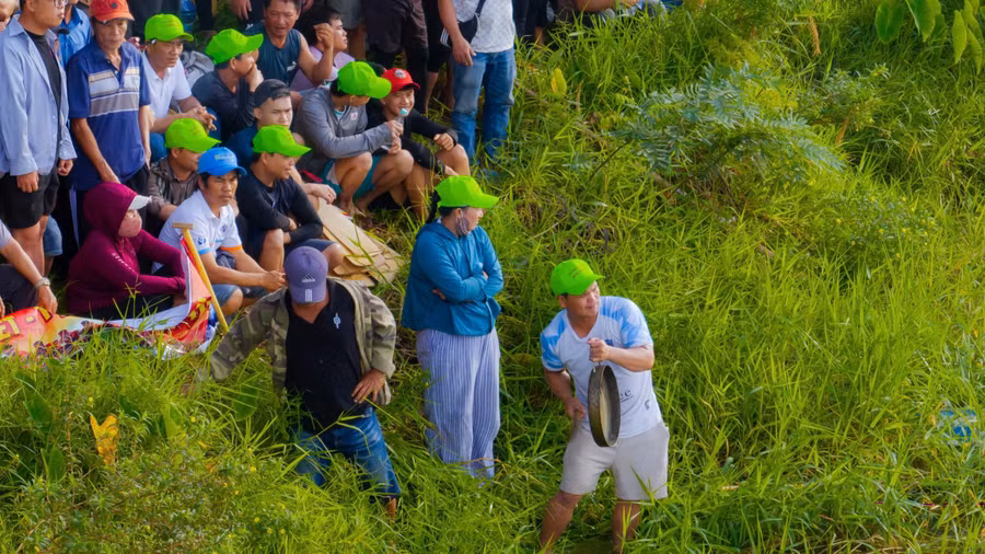 1788320815499-6439880527419115493-g6032860714818333443-72b64f87e88c7b75a25959bf45643fe3.jpg