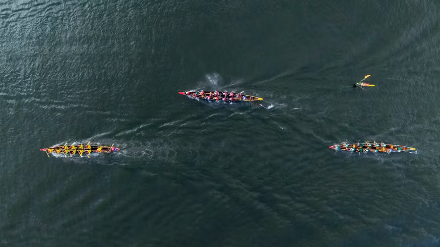 1788320815494-6439880527419115493-g6032860714818333443-4cde7e2eebe46f5dfea0f04f25e6dd72.jpg