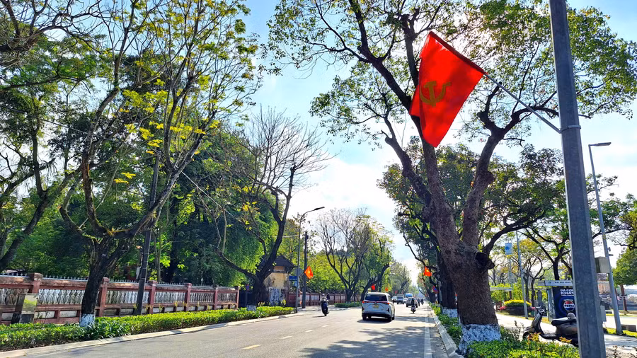 a8-tp-hue-ruc-ro-co-hoa-huong-ve-dai-hoi-xiv-cua-dang.jpg