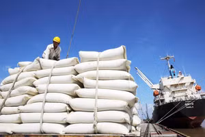 VCCI kiến nghị bỏ loạt quy định làm khó doanh nghiệp xuất khẩu gạo