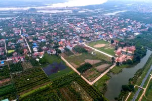 Ảnh minh họa